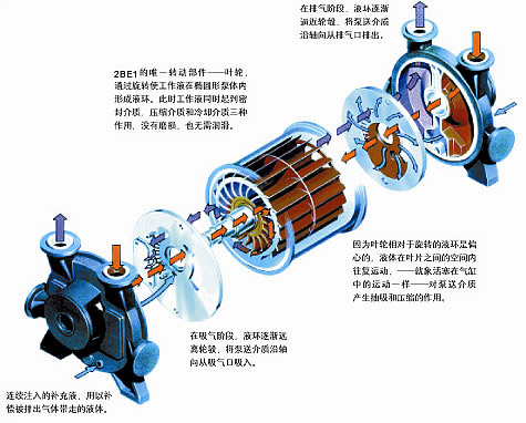 SK係列水（shuǐ）環式真空泵結構圖