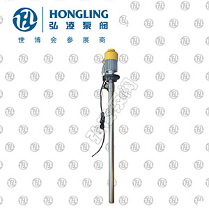 防爆型電動油桶（tǒng）泵（抽液泵)
